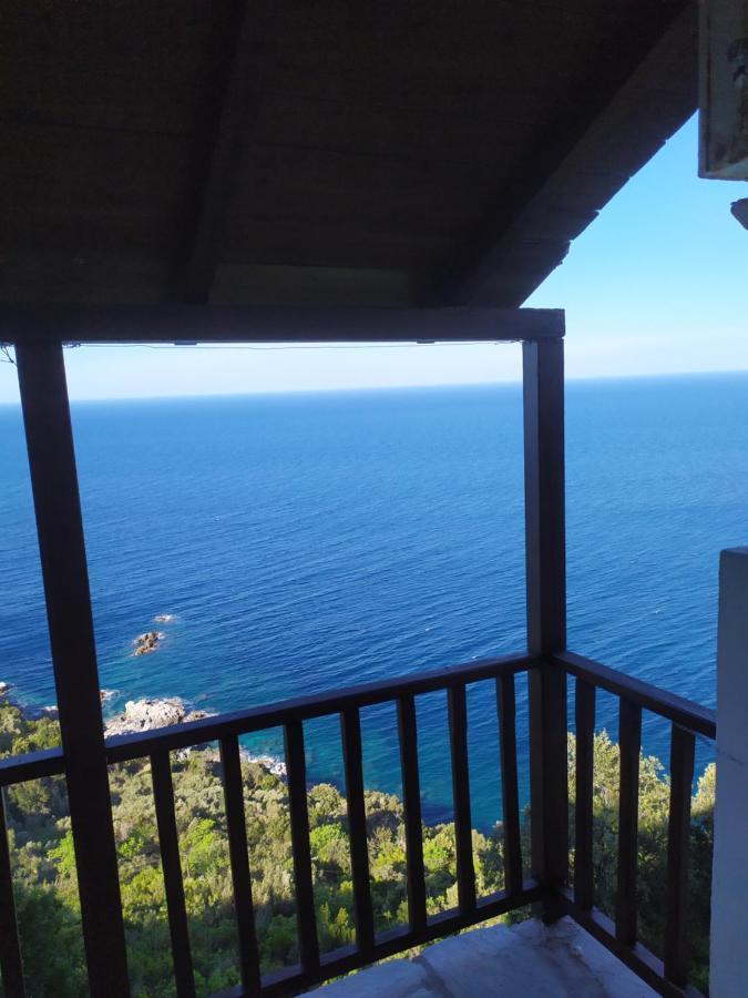Triple Studio Room With The Most Beatifull View In Mylopotamos Tsagkarada Dış mekan fotoğraf